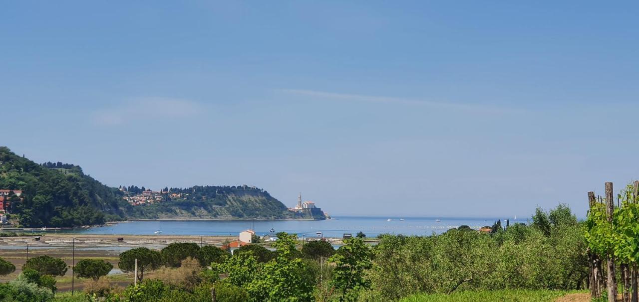 Apartma Nana Strunjan Portorož Extérieur photo